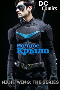Ночное Крыло: Сериал 1 сезон (HD-720 качество) все серии подряд / Nightwing: The Series (2014)